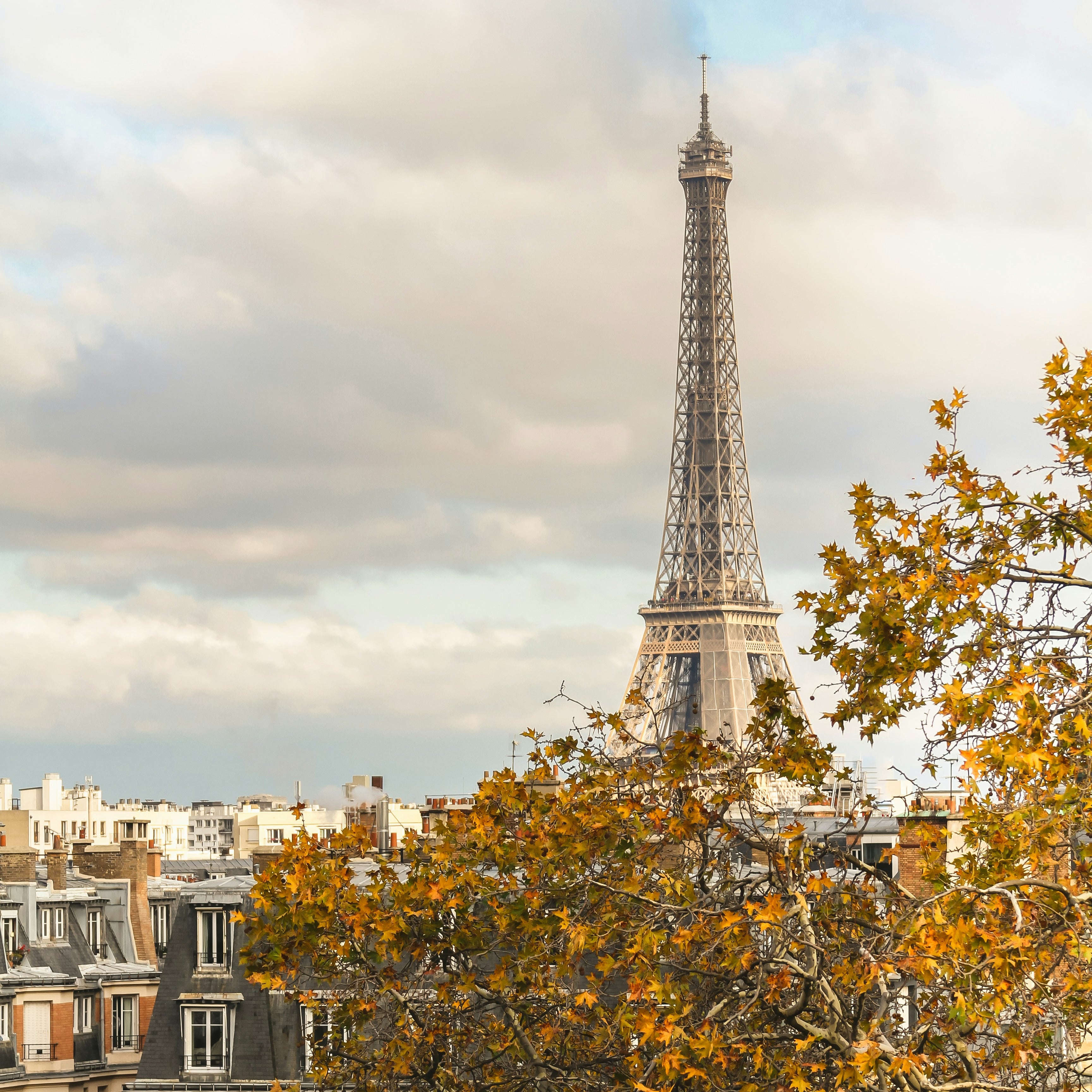 Faal Trip to Paris: Itinerary Guide