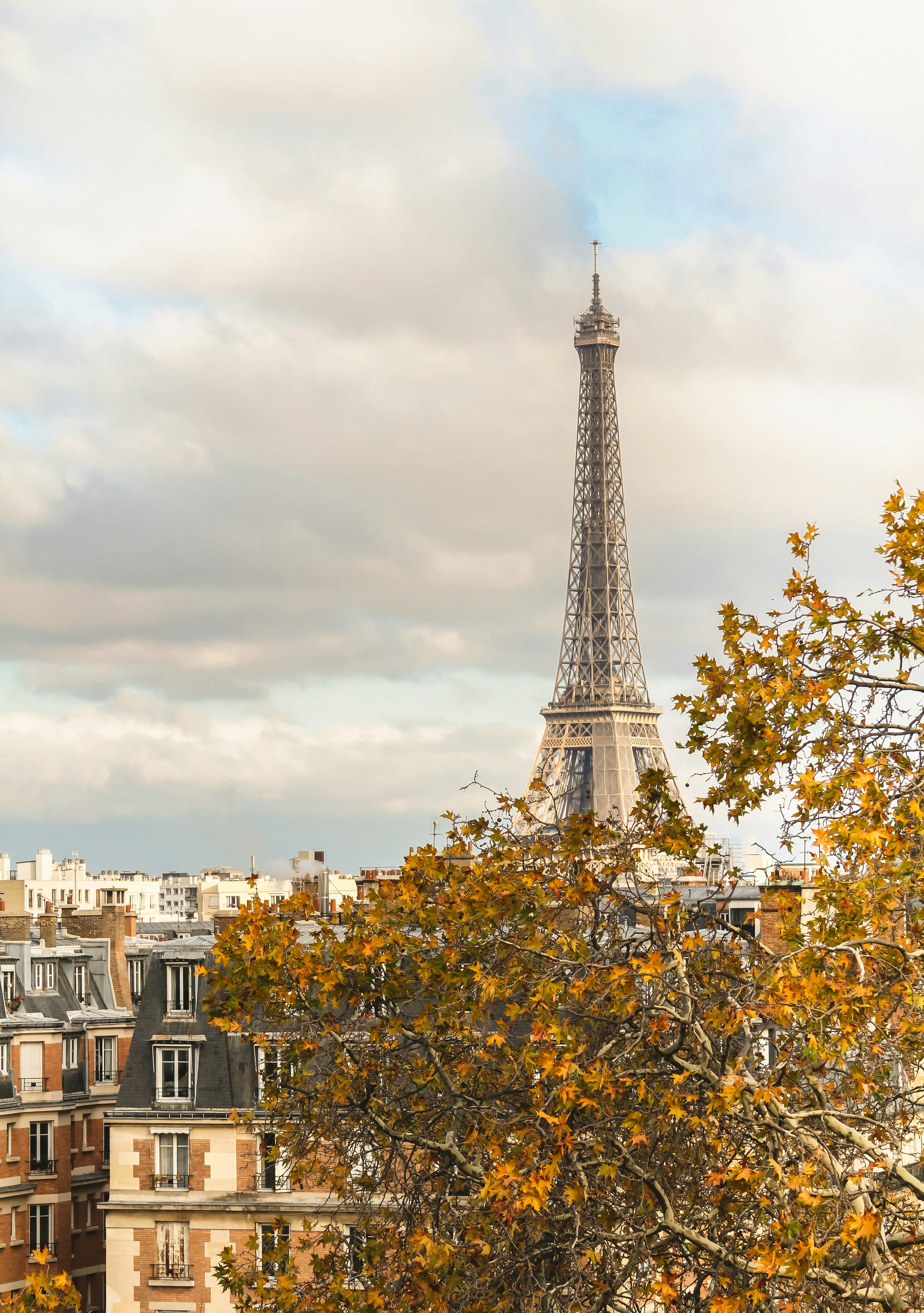 Faal Trip to Paris: Itinerary Guide